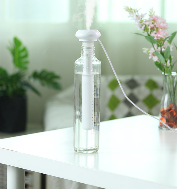 Gift portable mineral water bottle humidifier